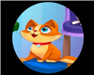 Talking Tom Cat - My pet clinic