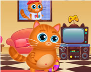 Lovely virtual cat Talking Tom Cat ingyen jtk